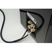 SVS SoundPath Ultra Speaker Cable - Banana - 25F