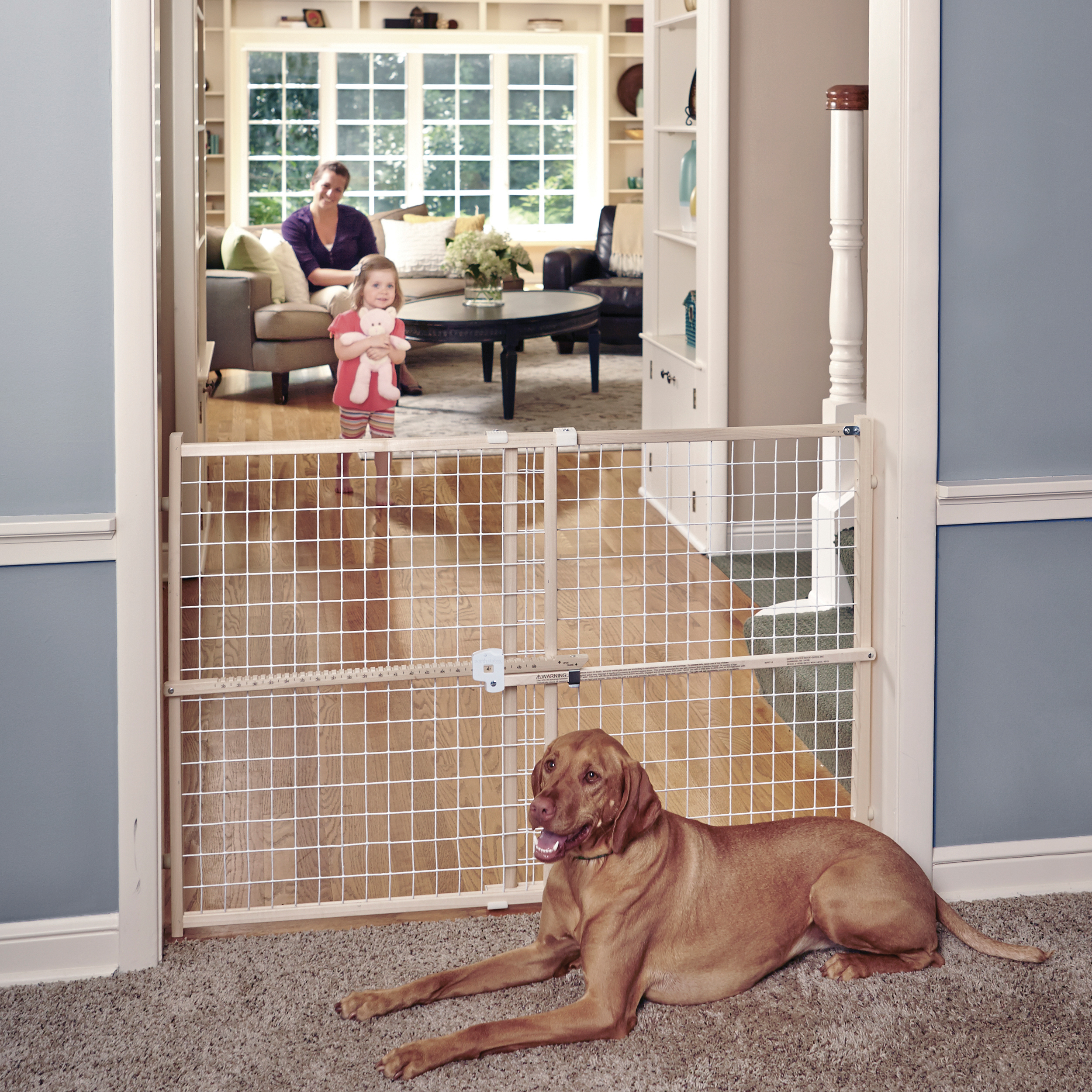 Toddleroo by North States Quick-Fit Wire Mesh Safety Gate photo 8