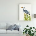 thumbnail image 3 of Trademark Fine Art 'Water birds And Cattails II' Canvas Art by Naomi McCavitt, 3 of 3
