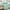 Green, variant on Cooling Blanket Air Conditioning Quilt, Cooling Sheets, Cooling Blankets for Hot Sleepers, Soft Lightweight Blanket for All Seasons, Summer Blanket Skin-Friendly Washed Cotton, 59.01x78.74in