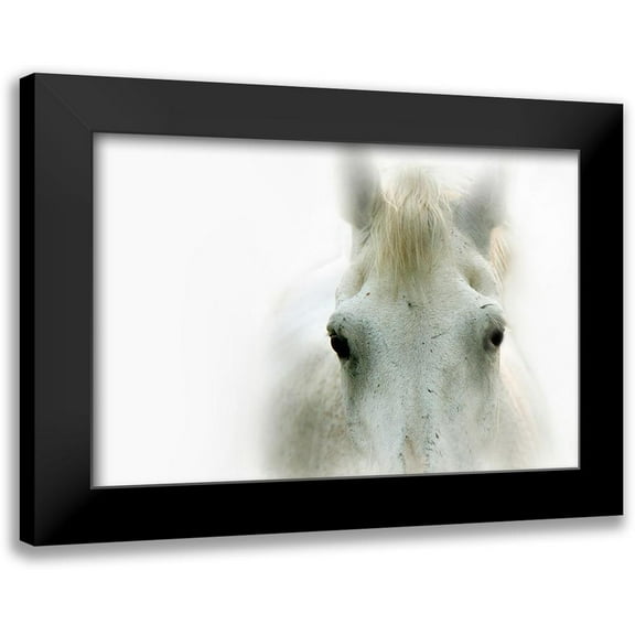 Tyrrell, Lu Anne 14x11 Black Modern Framed Museum Art Print Titled - Blanco