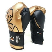 Rival Boxing RS11V Evolution Sparring Gloves - 14 oz. - Gold
