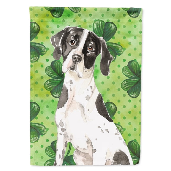 Carolines Treasures CK1806CHF Shamrocks English Pointer Flag Canvas House Size  Large multicolor