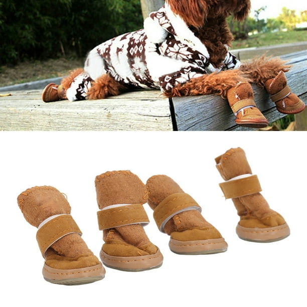 Zapatos para perros schnauzer new arrivals