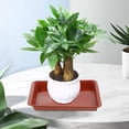 thumbnail image 2 of LOLIPPYY Large Rectangular Planter Trays, Flower Pot Saucers, Plant Holder Containers for Indoor and Outdoor Use, 2 of 7