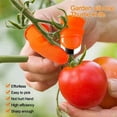 thumbnail image 6 of Silicone Finger Protectors For Harvesting Vegetables Fruit Gardening Thumb Guards Cut Durable Comfortable, 6 of 8