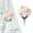 B*2, variant on 7 Heads Artificial Carnation Flowers, Aetherz Fake Flower with Stems Plastic Carnation Bouquet Faux Fake Silk Carnations for Mothers Day Wedding Home Centerpieces Arrangements