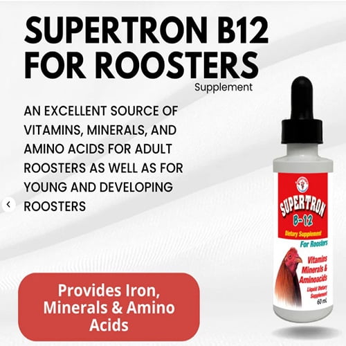 Supertron B-12 for Roosters