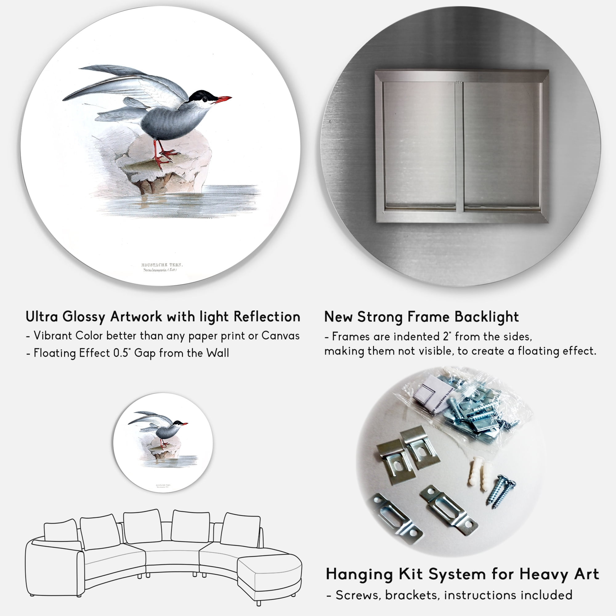 Designart 'Ancient Bird Of Europe I' Traditional Circle Metal Wall Art 36x36 - Disc of 36