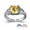 Brass/Platinum, variant on Ship in 5 days, USA Mementos Custom Women's Class Ring Silenium Brass for High School & College-Size 8