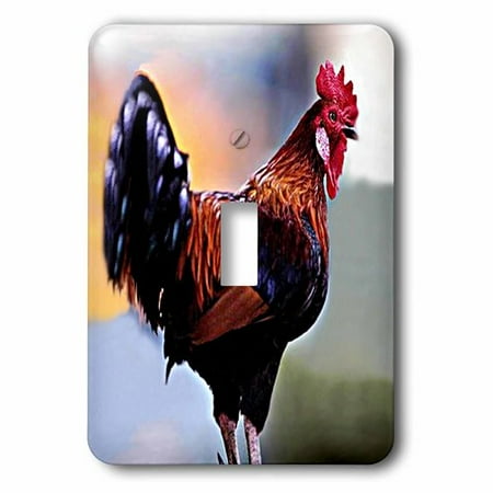 Rooster Outlet Cover - 3dRose Rooster, 2 Plug Outlet Cover