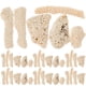thumbnail image 1 of 1 bolsa de Coral triturado para pecera, filtro de acuario, decoraciones de Coral, diseño de pecera, gravas de Coral, 1 of 8