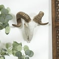 thumbnail image 2 of DecMode White Polystone Skull Sheep Wall Decor, 2 of 10