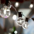 thumbnail image 5 of Novelty Lights 1W G40 Pure White Globe LED Light Bulb, Shatterproof, 5 of 8