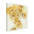 thumbnail image 2 of Trademark Fine Art 'Yellow Roses Anew I' Canvas Art by Chris Paschke, 2 of 3