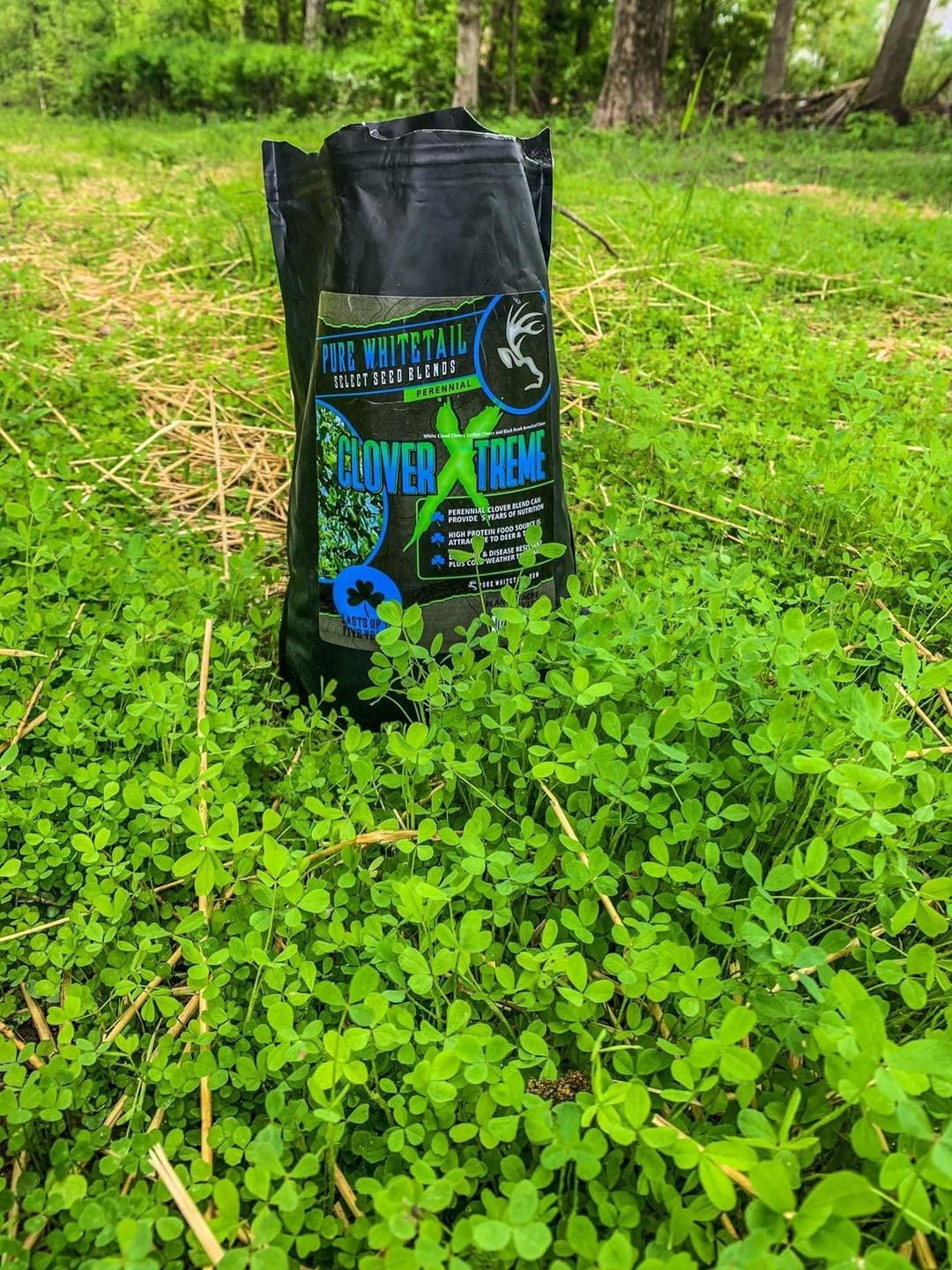 Pure Whitetail Clover Xtreme Perennial Food Plot Seeds for Deer, 5 lb Bag Plants 1 Acre