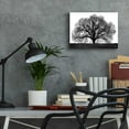 thumbnail image 6 of Epic Art 'The Tree' by John Jones, Acrylic Glass Wall Art, 16"x12", 6 of 8