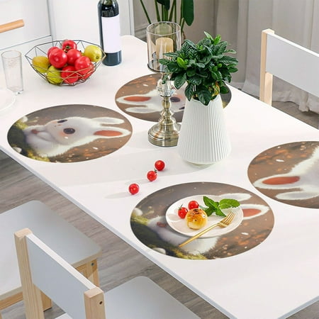 

Round Grid Placemat One Sizex1 Round Placemat PVC Plate Mat，15.4 Inch Non-Slip and Heat Resistant Table Placemat Dining Room Placemat A Cartoon White Rabbit