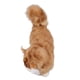 thumbnail image 5 of Juguete Modelo De Gato Simulado, Peluche De Gato Simulado Para Niños Para Cumpleaños, 5 of 7