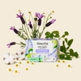 thumbnail image 4 of Honey Pot 100% Organic Cotton Cover Calming Herbal Infusion Long Liners, 30 Count, 4 of 10