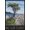 Unframed, variant on Art.com Big Sur Coast, California - Lone Cypress Tree Art Print by Lantern Press, 12" x 18"