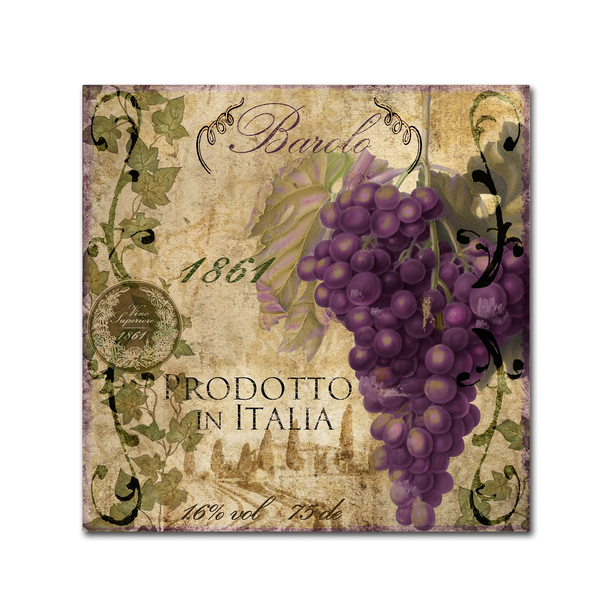 Trademark Fine Art "Vino Italiano II" Canvas Art by Color Bakery