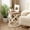 White, variant on SolaceHue End Table, French Country Side Table with Distressed Tray Top, Curved Drum Frame for Boho, Rustic Decor, Round, White