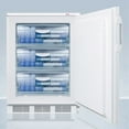 thumbnail image 5 of 24" wide all-freezer for built-in use, manual defrost with a NIST calibrated thermometer, lock, and -25C capability, 5 of 5