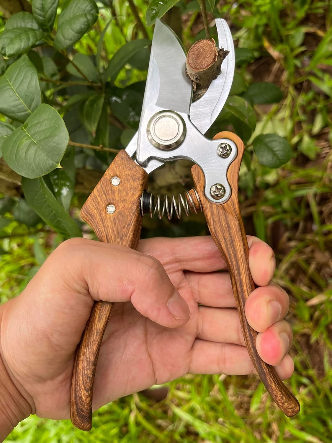 Garden Pruning Shears, Floral wire cutter, German Stainless Steel Blades, 1 inch Cut Capacity, Snips for flowers with Non-Slip Handle, Lightweight & Ergonomic Professional