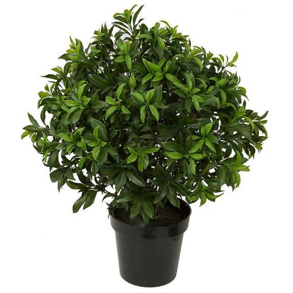 29 in. UV Sweet Bay Topiary - Green