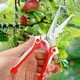 thumbnail image 1 of Tijeras de Podar para Jardinería Qazbgdl | Tijeras de Podar de Acero Inoxidable para Árboles Frutales, Flores y Ramas | Paquete de 1, 1 of 5