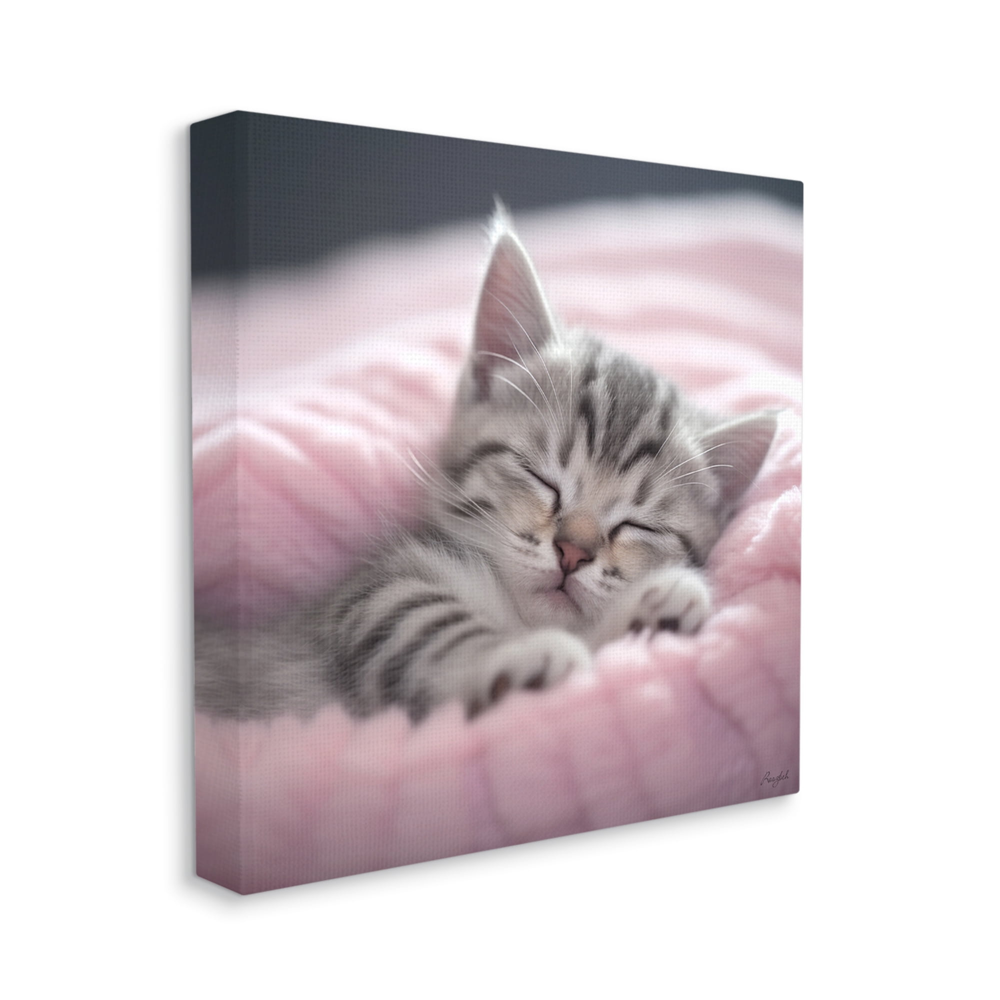 Stupell Industries Soft Kitten Tucked In Animals & Insects Painting Gallery Wrapped Canvas Art Print Wall Art, 36 x 36