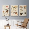 thumbnail image 5 of Mushroom Species X - Framed Premium Gallery Wrapped Canvas L Frame 3 Piece Set - Ready to Hang, 5 of 9