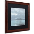 thumbnail image 2 of Trademark Fine Art "Lake Vista VII" Canvas Art by Alan Blaustein, Black Matte, Wood Frame, 2 of 4