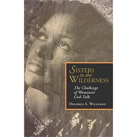 Sisters in the Wilderness: The Challenge of Womanist God, (Paperback)