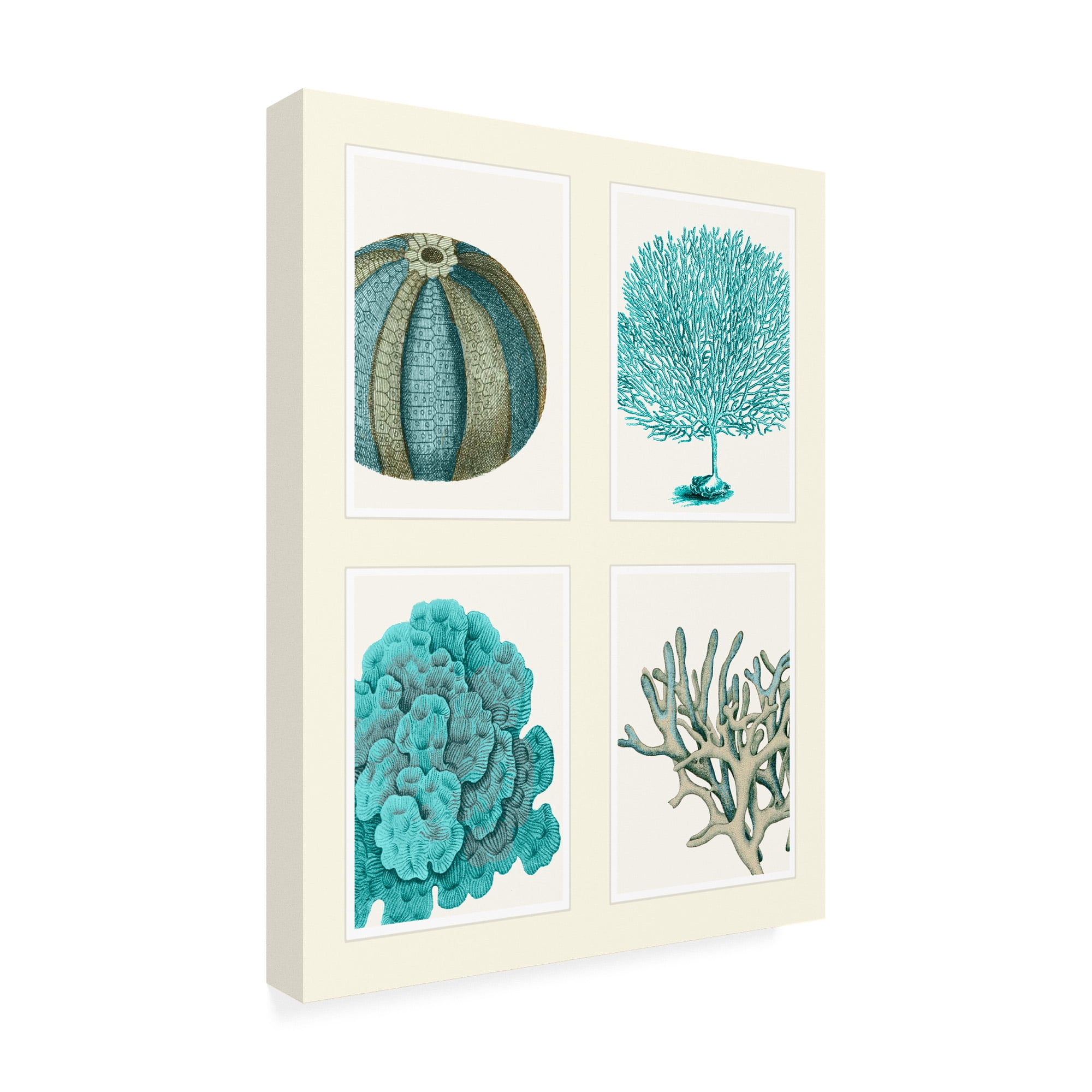 Trademark Fine Art 'Blue Corals And Sea Urchins In 4 Panels' Canvas Art by Fab Funky