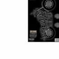 thumbnail image 2 of Harley-Davidson Ride Free Motorcycle large Decal, 2 of 2