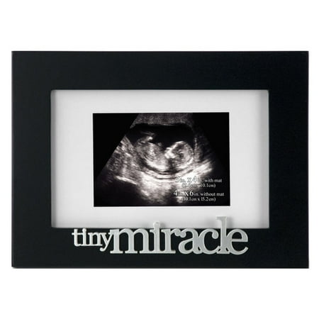 Malden Tiny Miracle Picture Frame (Best Trailer Frame For Tiny House)