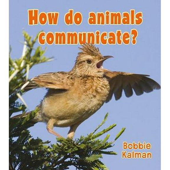 Pre-Owned How Do Animals Communicate? (Paperback) 0778733025 9780778733027