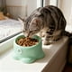 thumbnail image 4 of Comedero y bebedero elevado para gatos | Gran capacidad de 250 ml | Diseño ancho y poco profundo | Soporte para el cuello para una alimentación cómoda | Plato de plástico para mascotas, 4 of 6
