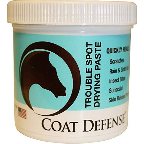 Coat Defense 793597086488 Trouble Spot Dry Paste 10oz