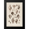thumbnail image 2 of Sowerby, G.B. 11x14 Black Modern Framed Museum Art Print Titled - Shells: Sessile Cirripedes #3 (Sepia), 2 of 5