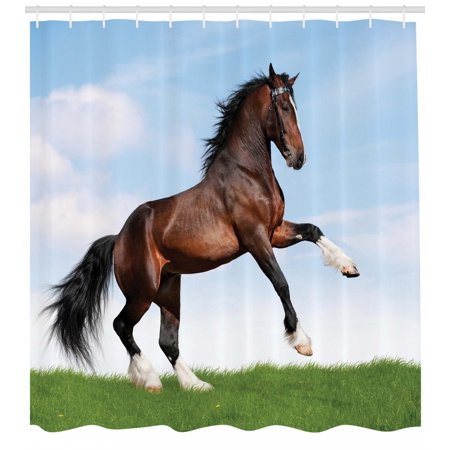 Horses Shower Curtain Bay Horse Pacing On The Grass Energetic