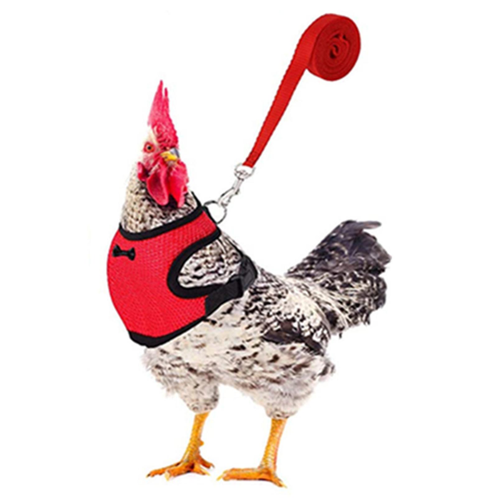 Nlager Duck Harness Hen Size with Matching Belt Adjustable Duck Harness with 4ft Matching Leash for Chicken Hen Pets Training Walking for Animal Blue-XS XS