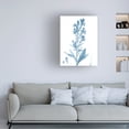 thumbnail image 3 of Vision Studio 'Antique Botanical in Blue III' Canvas Art, 3 of 3