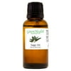 Sage Essential Oil - 1 fl oz (30 ml) Glass Bottle w/ Euro Dropper - 100% Pure Essential Oil by GreenHealth