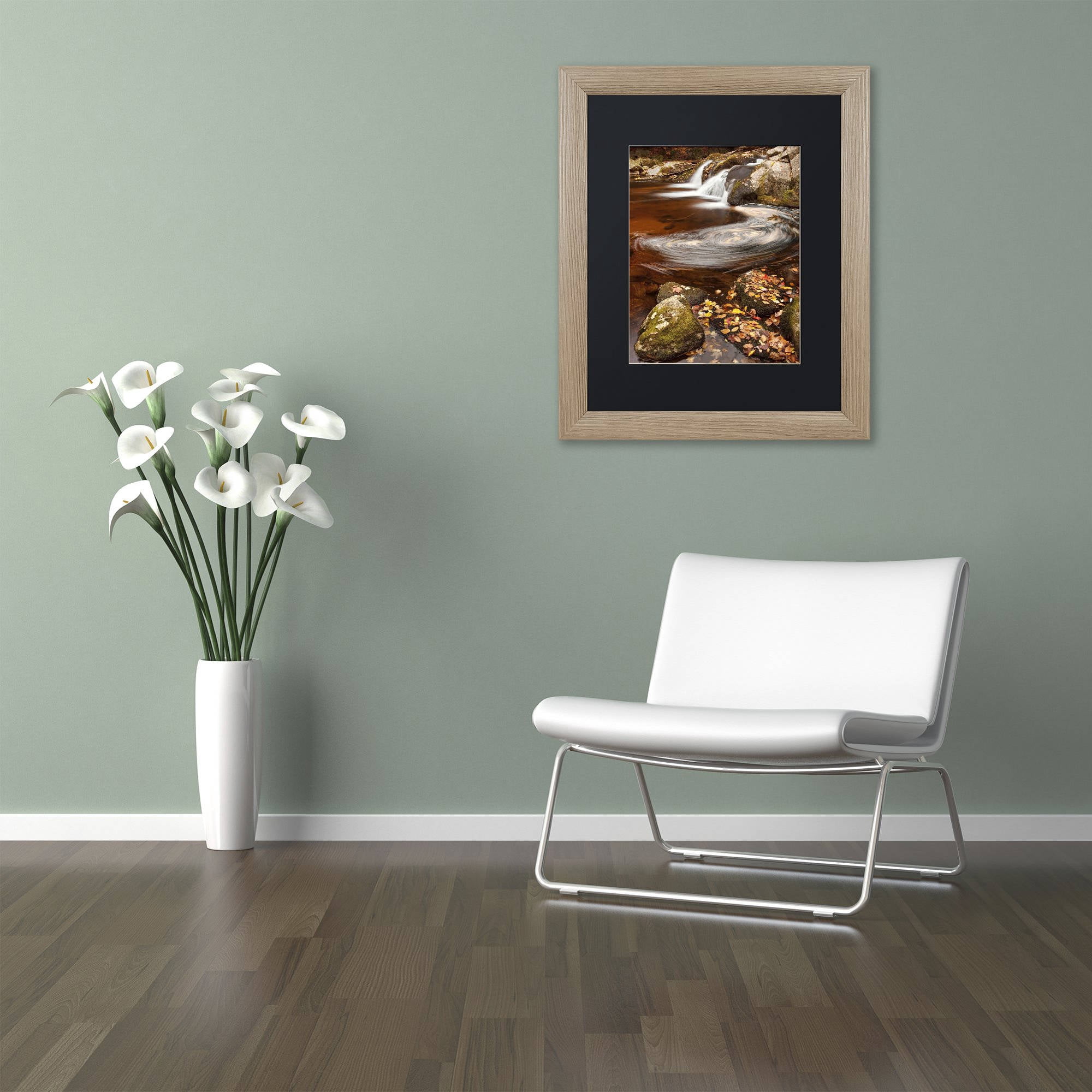 Trademark Fine Art "Autumn Swirly" Canvas Art by Michael Blanchette Photography Black Matte, Birch Frame