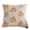 A002- Beige, variant on 18X18 Inch Pumpkin Throw Pillow Cover Embroidered Soft Plush Throw Pillow for Couch Fall Halloween Decor Beige 1 Piece