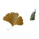 thumbnail image 1 of Esculturas de pared de hojas,Esculturas de pared de hierro forjado con hojas de ginkgo,Escultura de pared con hojas de ginkgo para colgar,Figura de escritorio,Estante de estatua de pavo real, 1 of 8