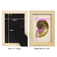 thumbnail image 4 of Sealife Collection V - Framed Print w/glass - Natural Wood, 4 of 8